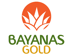 Bayanas